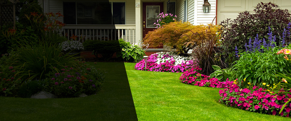 White Plains Landscapers